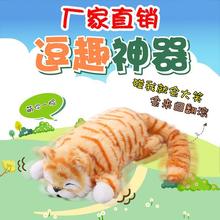 打滚猫翻滚猫仿真大笑猫搞笑网红抖音同款电动毛绒公仔送儿童玩具