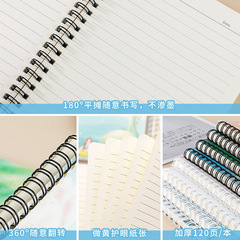 A5 Coiled Notebook with Thickened Pages, Creative Side-Folding Journal, Cute Student Diary Notebook for Custom Wholesale