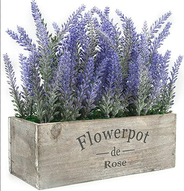 薰衣草木盆主图