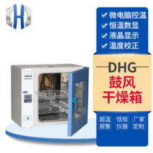 DHG鼓風干燥箱 電熱恆溫鼓風干燥箱 小型實驗室烘干箱 恆溫箱