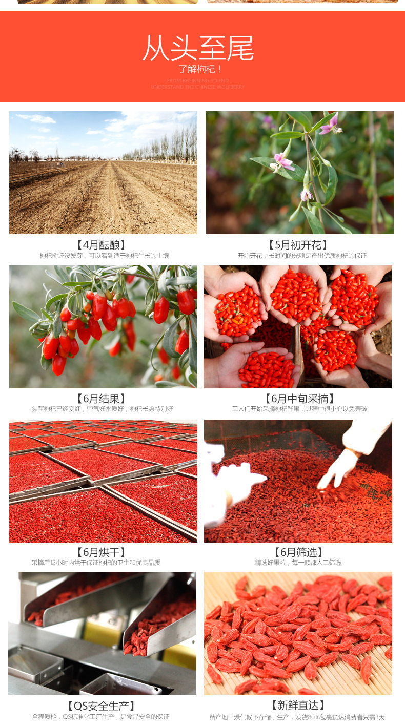 Premium Ningxia Goji Berries Gou Qi Zi Dried Wolfberry for Tea and Soup 40 Jin Bulk Case preparation