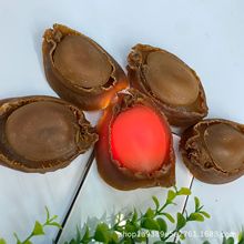 澳洲鲍鱼 陈年老鲍吉品鲍深海野生鲍鱼干 一德路海味干货批发