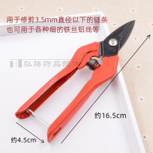 diyֹƷ 朗l䓽zɼСʮֽÿp^kE18