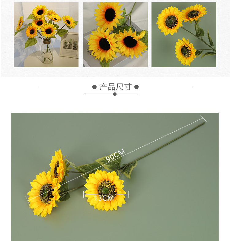 55fd6101006190dec9453fc843eca9