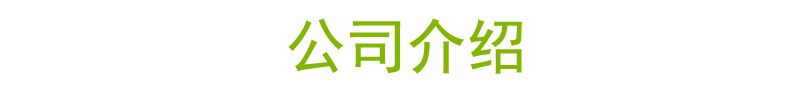 Company introduction. Jpg