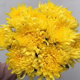 ����S�׾��r�л���׾ջ��a�����l��������������Ĺ�r���滨