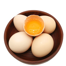 30枚包邮土鸡蛋散养农村柴鸡蛋现捡新鲜营养笨鸡蛋批发社区现货