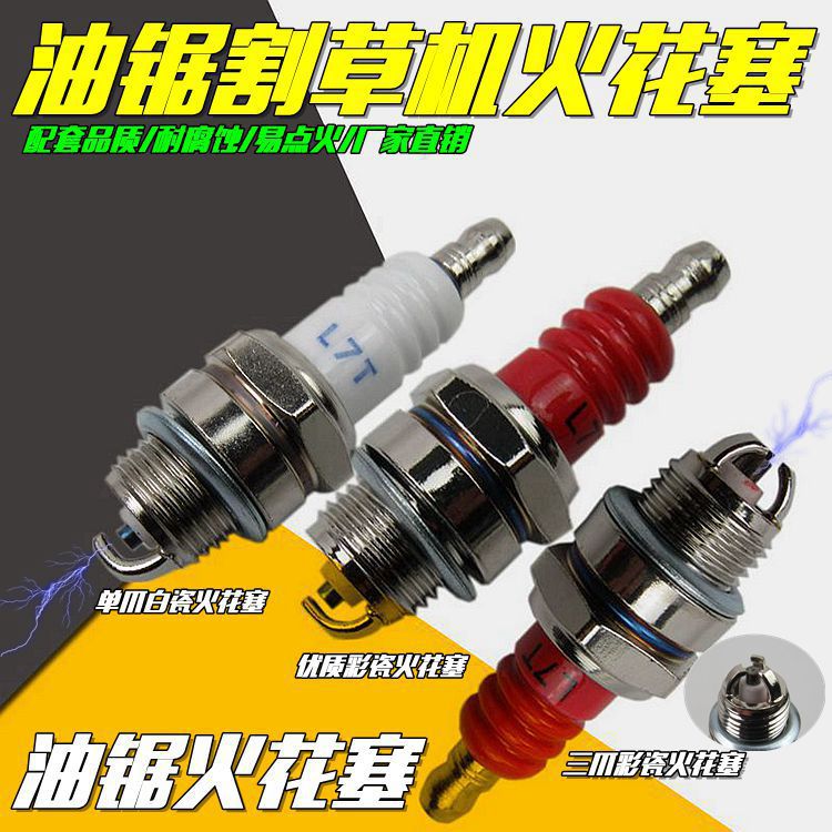 IMG_1294_副本56899