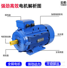 YE2����ȫ�~���ஐ��늄әC���R��荴��Չ�܇��늙C380V3KW���I