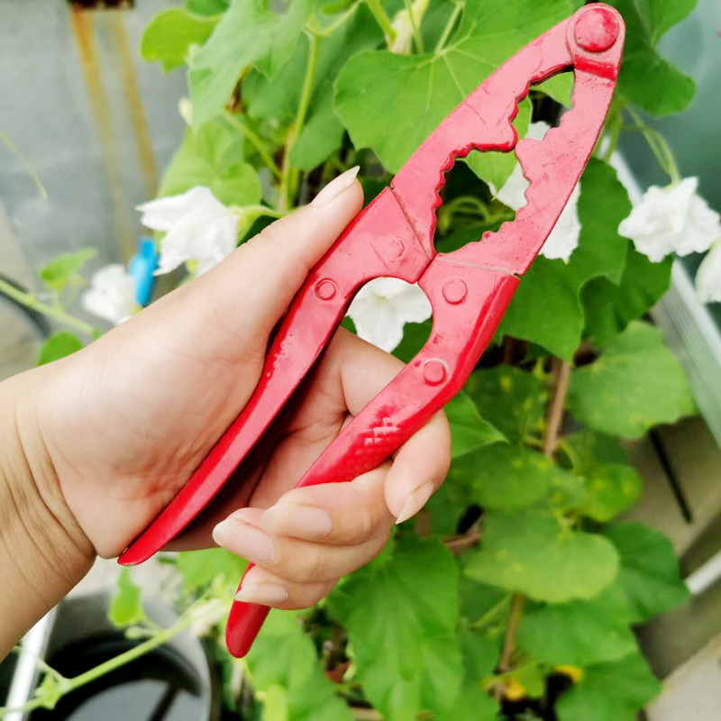 微信图片_20200808093027