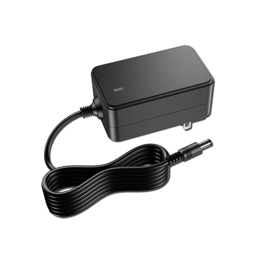 24V1A power adapter DC stabilized power supply with 0.5A massager for weight loss with fat thrower and purified water device