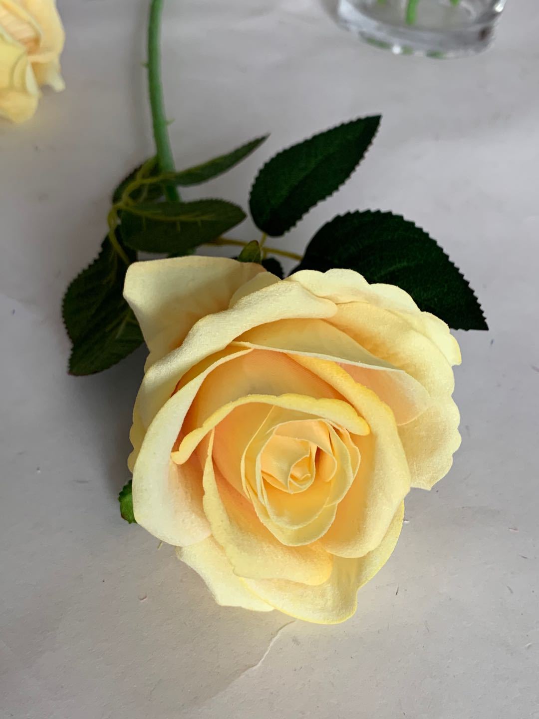 ec240f4aef3cf822368a7f8088492c