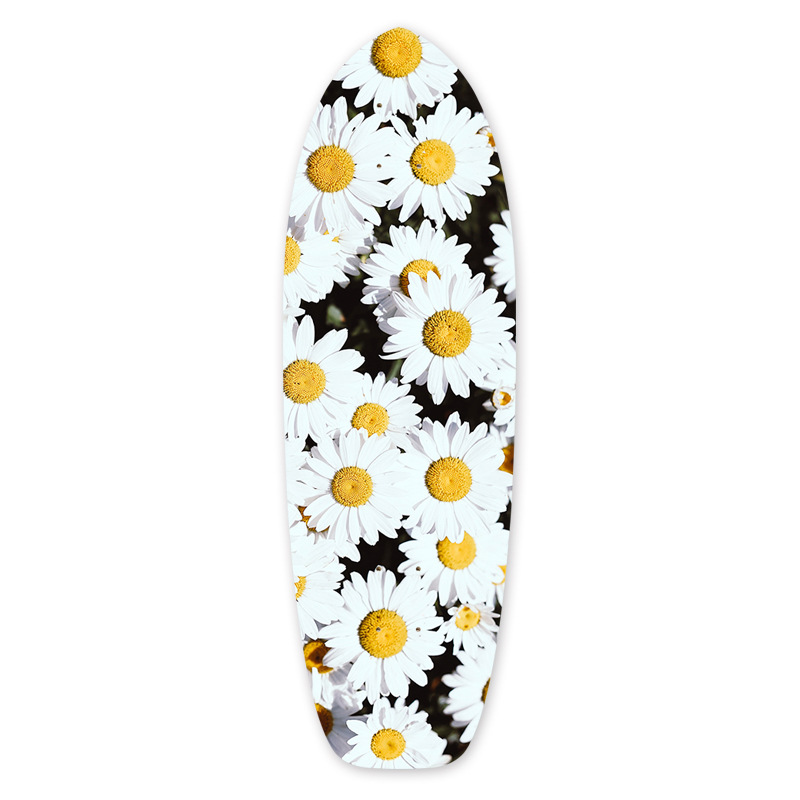 陆地冲浪板板面【小白菊】