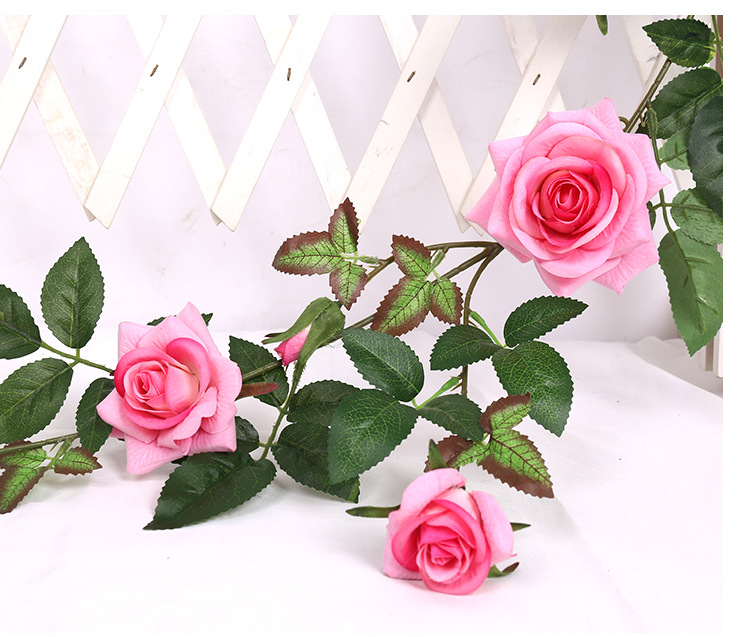 详情页_13 - 副本