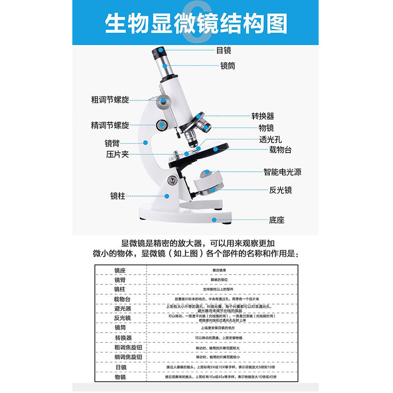 金属生物高倍 光学生物显微镜 小学中学儿童科学实验显微镜