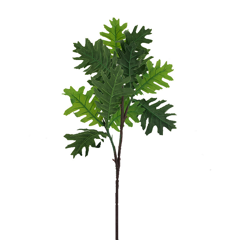 XRB-055 火轮树春色三叉枝3.jpg