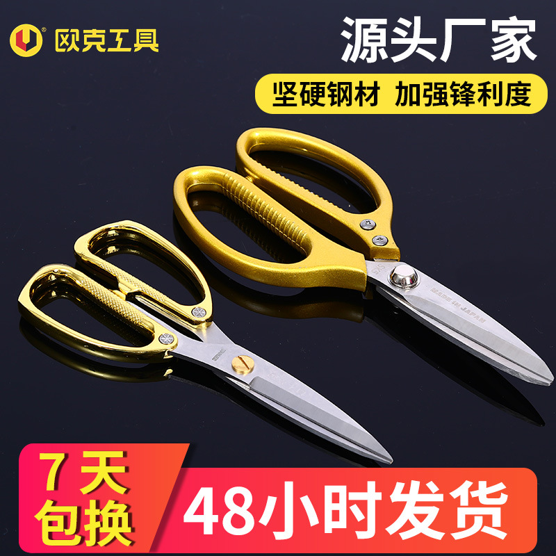 hGyTgvKjy9T/JMf1cqccinGcHS1gm4/Lq/Wb