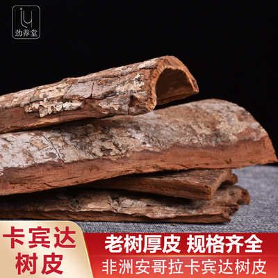 批发正宗非洲安哥拉卡宾达树皮kuba男性特厚泡酒松塔500g|ms