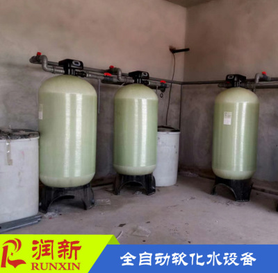 润新RMFB18吨全自动软水器 酒店洗浴去水垢设备 降硬度软化水设备