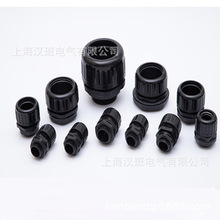 ϲyܽ^AD21.2Ƥܛ˹͌ӹ̶^PAܷ^