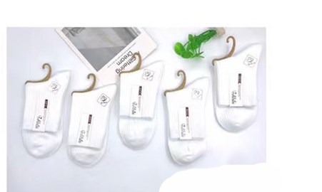 IMG_4497(20201013-103248)_副7本