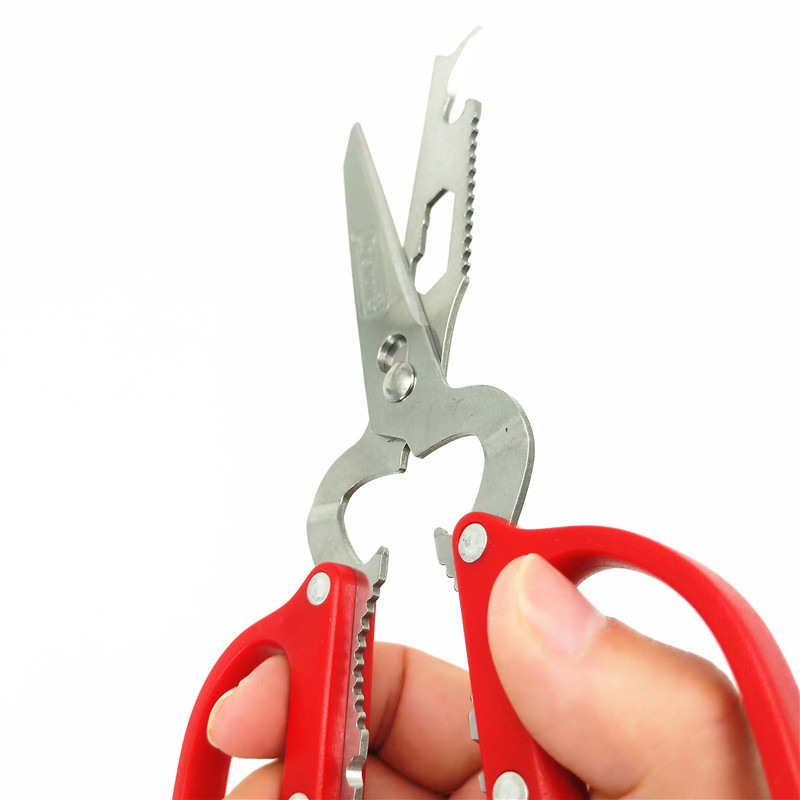 IMG20191119154202_副本