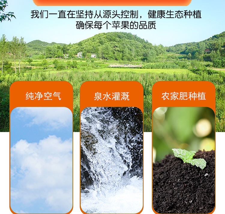 微信图片_202006231233583