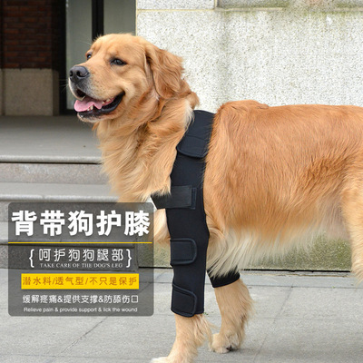 跨境宠物用品亚马逊护膝狗护腿护狗腿宠物护具狗狗手术受伤保护套|ms