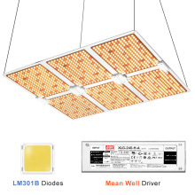 植物灯LM301B芯片高光效PPE3.0大棚专用LED植物生长灯配明伟电源