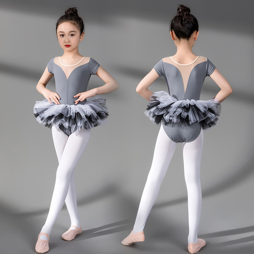 Dance clothing for children, spring and summer ballet skirt, long-sleeved grade examination dance performance clothing, one-piece Chinese dance clothing