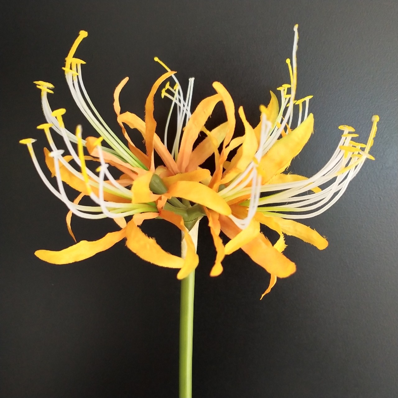 upload