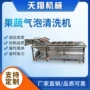 气泡喷淋叶类苹果清洗机