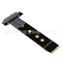 SFF-8639 �DM.2 key M���L��