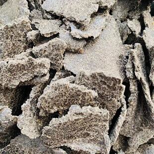 ������ ����� �������w�� �������� ����r���gӭǢՄ������