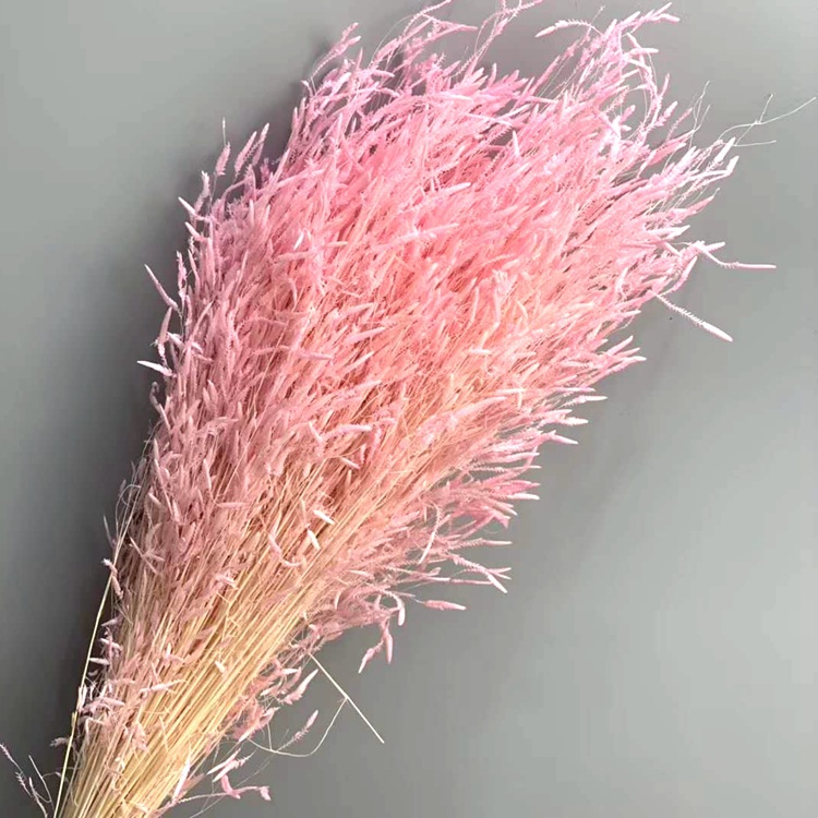 微信图片_20200209024554