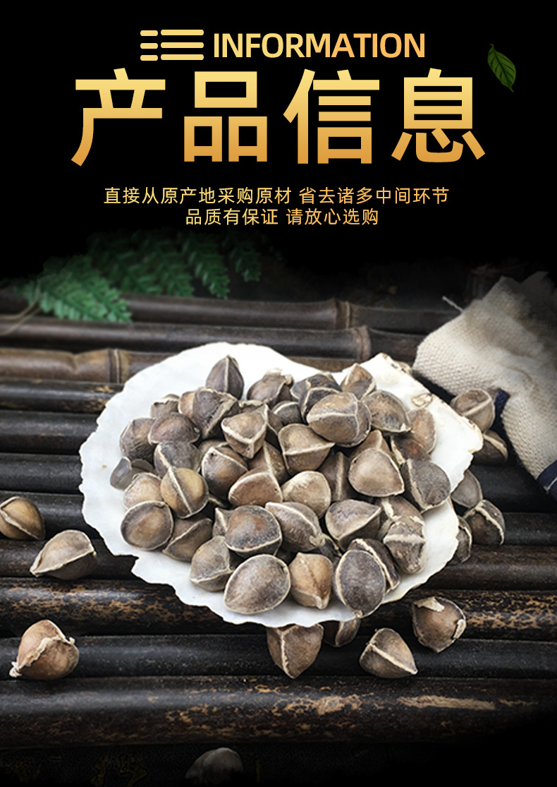Moringa Seeds La Mu Zi 辣木籽 Dried Whole Seeds 500g Bulk Herbal Botanical specifications