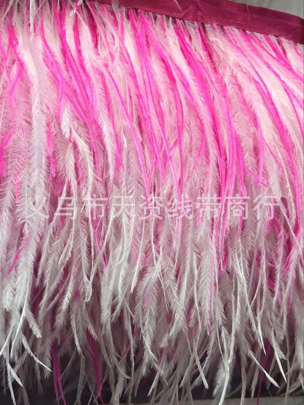 F12548F3F9BD8A1E8891C34992F079