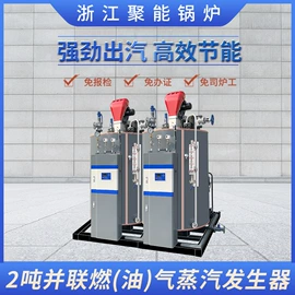 蒸汽发生器;特种锅炉;电热锅炉