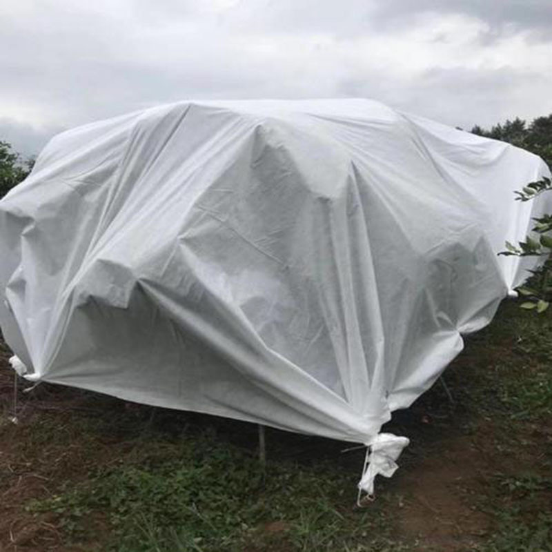 厂家直销定制植物脐橙柑橘果树保温植物防水透气保湿防冻布防寒布
