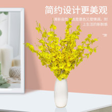 ���������m�Sɫ�ٻ������m�������ϸɻ�������S�^�����m�b���