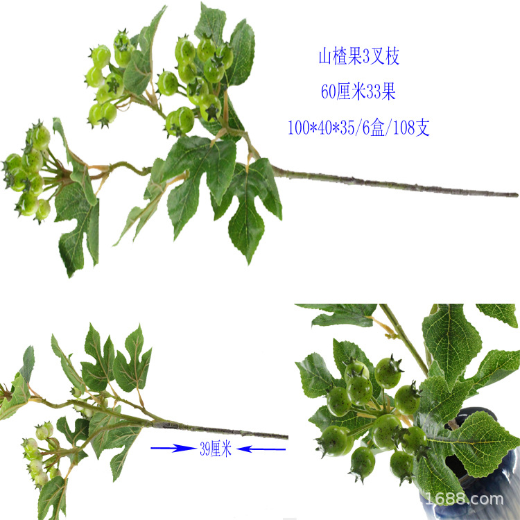 XRG-005 3叉小山楂果60厘米 (11).jpg