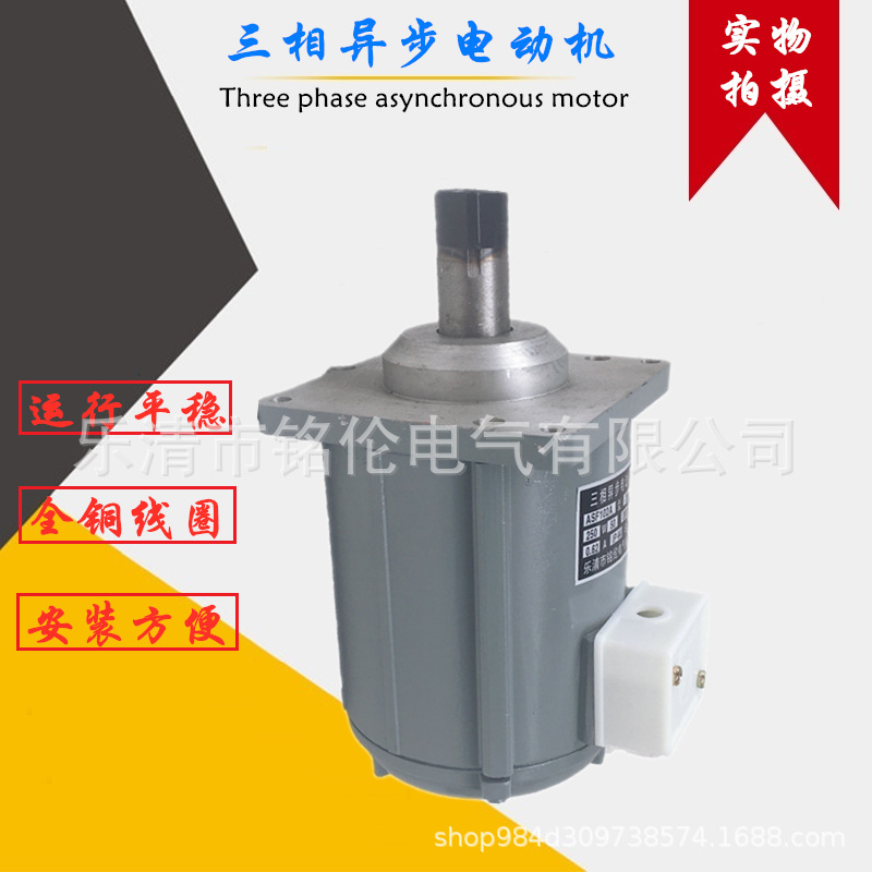 三相异步电动机 ASF102A YDT250-2 液压推动器电机250W 抱闸电机