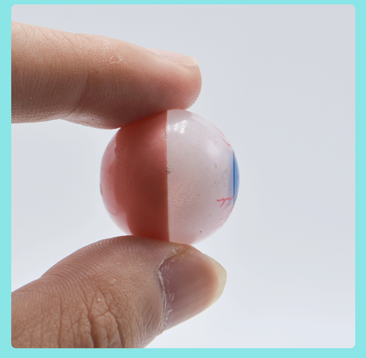 Halloween costume simulation, disgusting and scary eyeball props, prank and prank eyeball toys wholesale detail image 6