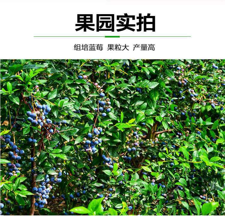 19da1e7f10394f637dec5005858a9c