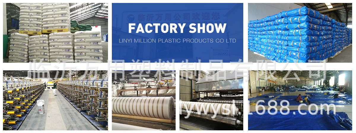 8993958598_1087607864