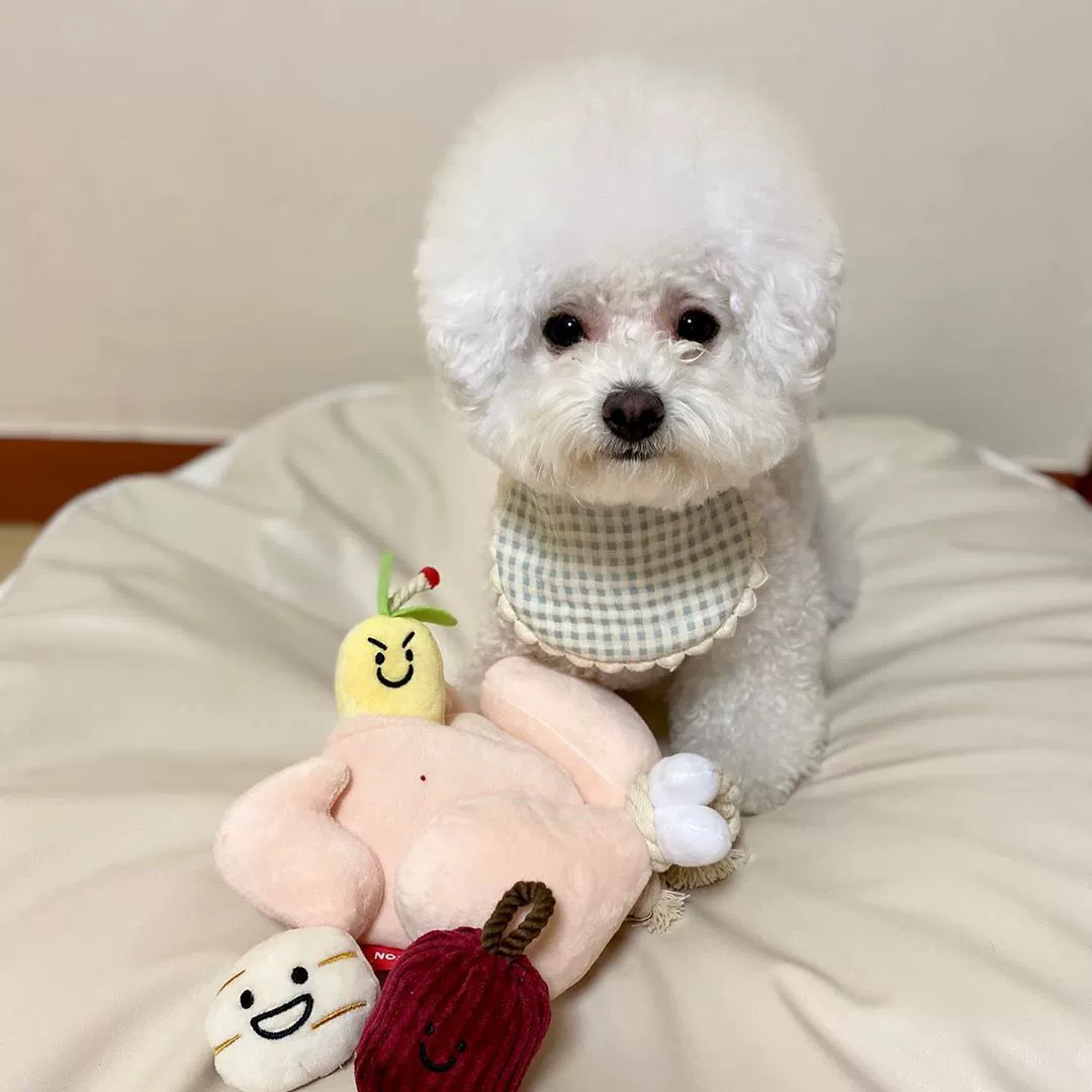 Игрушка для игры с едой, корейский стиль, Южная Корея, издает звуки, для питомца