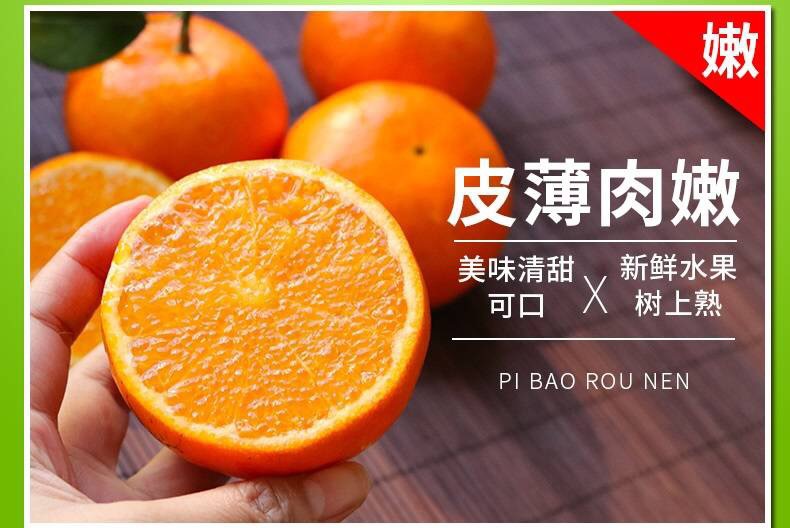 4 - 副本.jpg