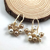 Earrings from pearl, fresh accessory, pendant, internet celebrity, 2022 collection, Japanese and Korean