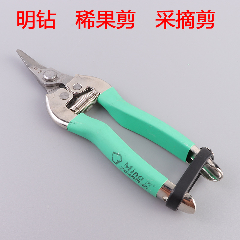 Rare fruit scissors, fruit picking scissors, short head, upturned head, serrated grape, tomato, Sichuan pepper picking tools, fruit branch scissors