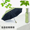 Automatic umbrella solar-powered, fully automatic, sun protection, custom made